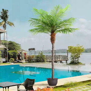 S300cm  3m tFCNO[  OOK V̖ q̗t tFjbNX ϗtA 썑 ][g nC 