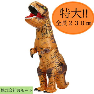 ̒ eBmTEX TbNX g150`190cmp Ct RXv lp 