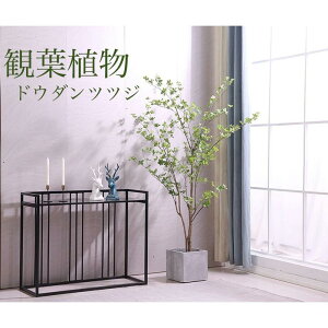 ϗtA  hE_ccW ccW O S150cm tFCNO[ lHϗtA  a 