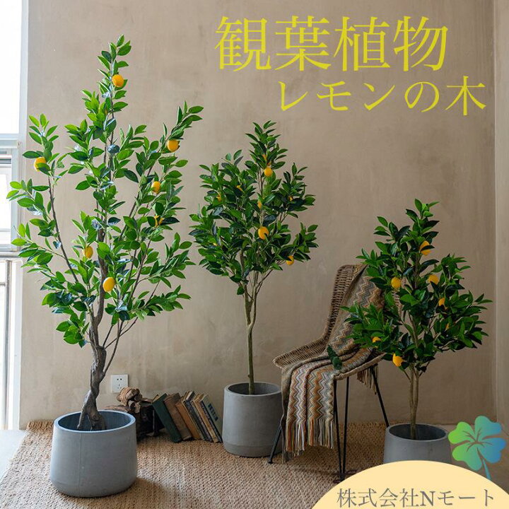 楽天市場】☆観葉植物☆ 造花 レモンの木 檸檬 全高約130cm フェイク 