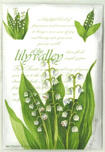 yzEB[ubN TVF tbVZcL tOX   |v   N[[bg bJ[ S Ԃ v`Mtg  Mtg v[g  蕨 