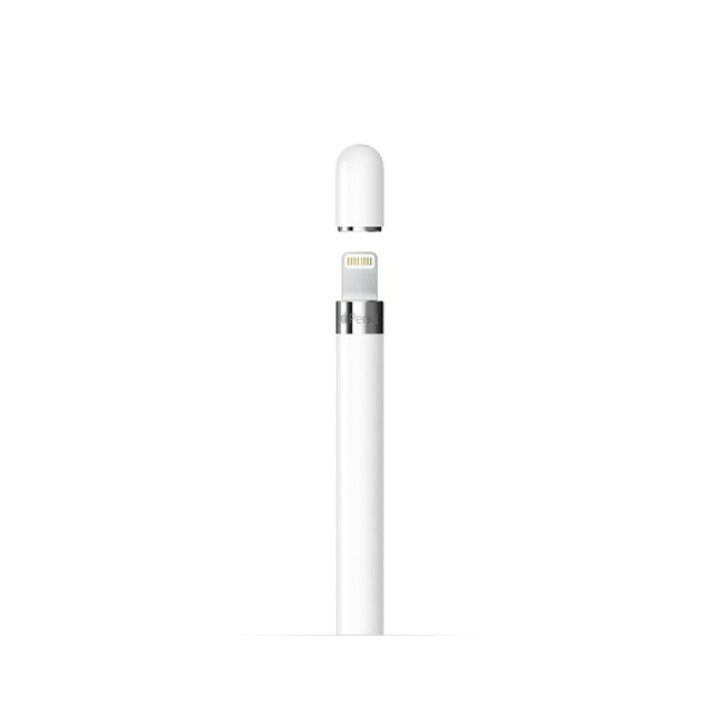 楽天市場】[新品未開封・即納] Apple純正 Apple Pencil 第1世代 USB-C 
