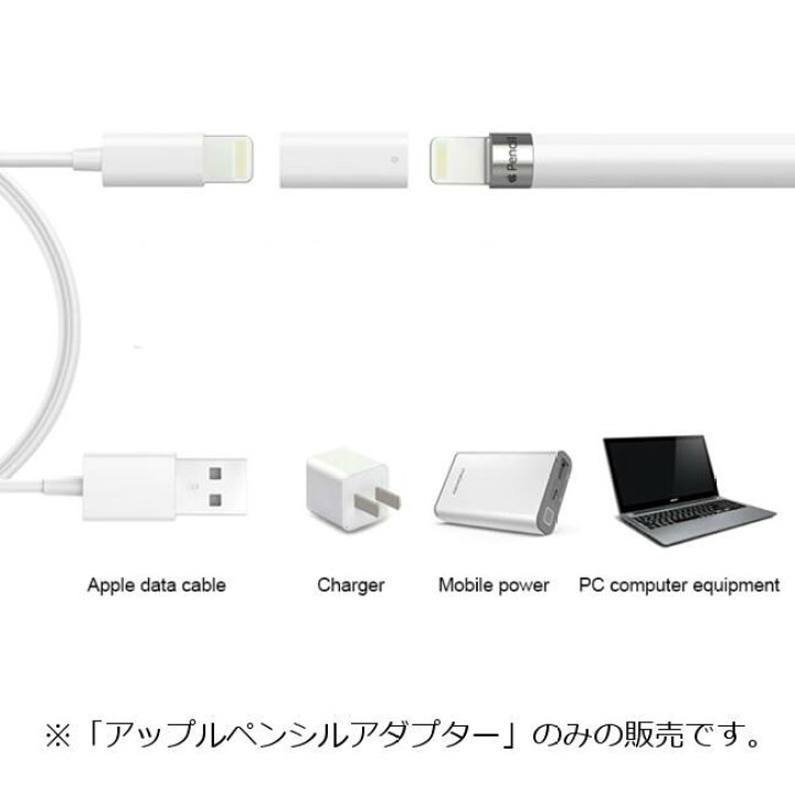 楽天市場】Apple Pencil 充電アダプタ 第一世代用 ライトニング端子 