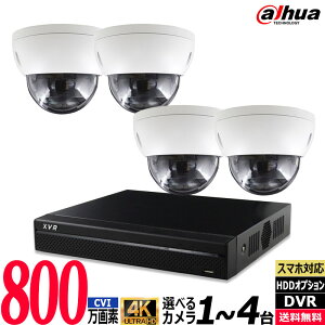 DAHUA _[t@ hƃJ O AiO J1`4Zbg 4K 800f R[_[HDD L 4K-CVISET-4CH