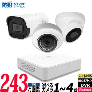 �h�ƃJ���� �Ď��J���� �A�i���O �������O HIKVISION �n�C�N�r�W���� �J���� 1�`4��ቿ�i�Z�b�g 243����f �R���p�N�g���R�[�_�[HDD�� 4chDVR �X�}�z�Ď� �����P�[�u�� JSTSET-4CH
