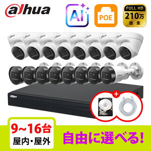 [DAHUA][IP-2M] �h�ƃJ���� ���O ���� 200����f 16POE 2���K 9~16�� ���Ȑݒu �h�ƃJ�����Z�b�gHDD 1T���� NVR4216-16P-4KS3,IPC-HDW1260T-S6,IPC-HFW1260S-S6