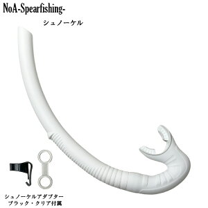 NoA Vm[P ˂  _CrO ˂  ˂ Vm[P Vm[PO XL[o f XsAtBbVO e