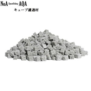 NoA ANAE  p L[u  h oCI  OtB^[ O|tB^[ Mы 