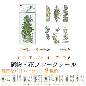 t[NV[ t[ A  12Zbg XebJ[ XNbvubLO Ao L PETf ϔM ϐ