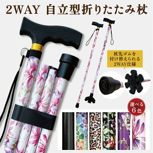 y\I12/05  XSi50%OFFN[|zz z ܂肽ݏ y 2way   j  S Xgbv  Vv ԕ 킢 jp oR   L