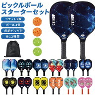 ピックルボール パドル ラケット 2個 ボール 4個 収納 バッグ セット 初心者 中級者 上級者 軽量 入門 木…
