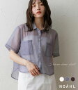 NOAHL｜《2,392円→60%OFFクーポン利用》【メール便】シャイニー シアーシャツ シャツ トップス レディース 半袖 シアー ラメ 透け感 シアートップス ショート アイボリー ブラウン ブルーグレー 春 夏 ノアル 250528