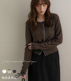 NOAHL｜《3,588円→40%0FFクーポン利用》【メール便】配色 ニット カーディガン トップス レディース ニットカーディガン 配色ニット 薄手 シアー アイボリー イエロー ベージュ ブラウン ブラウン ブルー 薄手ニット 春 秋 ノアル 250820