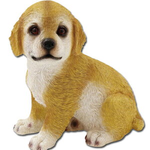 100370203 ۘaf yCheerful Friendsz`AttYuuh[̃nbs[v u IuWF  tBMA WI} }XRbg Mtg v[g