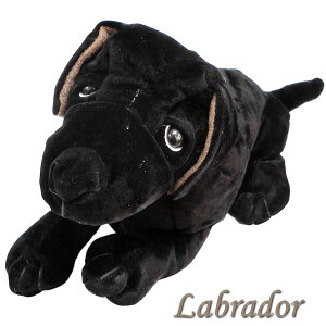 ラブラドール ぬいぐるみの人気商品 通販 価格比較 価格 Com