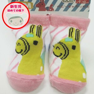 Iׂ3P1,110ΏۏiRDSOC79J X[vlbg fBLbNXixr[p7`10cm)uCG[fB WH×PKv C  t@bV tbgJo[ Xj[J[ Ԃ