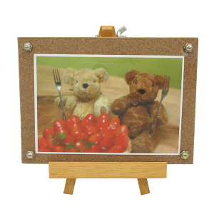 LoXt[iRNLj COK-880 xA[ |XgTCY [ ʐ^ J CeA  Mtg v[g