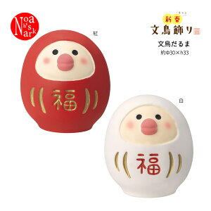 ZCB-35575-76u gEvC bC މVN fR concombre RRu 2024N   CeA   }XRbg tBMA DECOLE U Mtg v[g