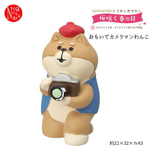 ZCB-62450uŃJ}񂱁v ꂵ߂ł 炭t̓ 2023 Ԍ RRu concombre fR DECOLE CeA fBXvC  u