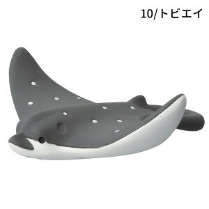 ST-47631-36u܂ XCXC}OlbgvCJ WxCU yM AUV E~EV grGC friends of the sea fR DECOLE }Olbg }XRbg ĈȂ |W