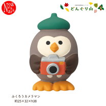 楽天市場】コンコンブル ふくろうの通販