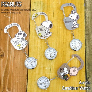 ylR|X֔ztB[h[N PNT022 v Xk[s[ JriEHb` fB[X snoopy s[ibc PEANUTS v ObY l  v[g SNOOPY WATCH COLLECTION tB[h[