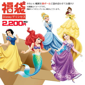 ディズニー 正月の通販 価格比較 価格 Com