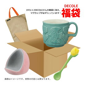 DC-FUKU-5000 デコレ雑貨福袋 マグカップ入り DECOLE インテリア雑貨 かわいい おしゃれ お楽しみ おまかせ