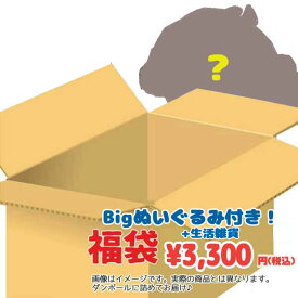 楽天市場 福袋 雑貨 生活雑貨 日用品雑貨 文房具 手芸 の通販