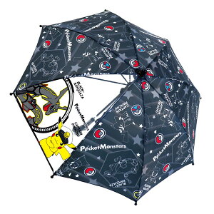 70140 |PbgX^[ {[ LbYP 45cm 8{ ^Jg~[ Nintendo POCKET MONSTERS |P CV q LbY C J Au g ~J  ObY ʋ ʊw ʉ Mtg v[