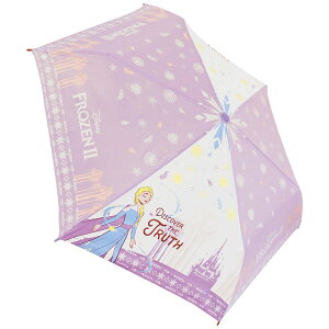 AiƐ̏2 90324 ܏ݎP Disney fBYj[ ܂肽ݎP 53cm WFCYvjO C J Au g ~J  ObY ʋ ʊw ʉ Mtg v[g