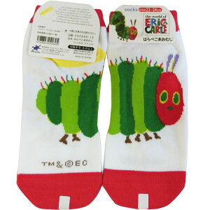 Iׂ3P1,110Ώۏi134721-19/iJW}R[|[V/͂؂ނ\bNXit@bgjTCYu22`24cmv//V[g/LN^[/C/l/t[/wl//t@