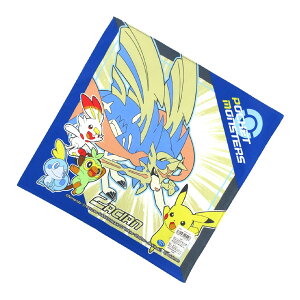 ylR|X֔z|PbgX^[ 36083 nJ` TWF CV |P  w G`Pbg @ gC ʏ g q LbY Mtg v[g