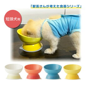 536137-75 短頭犬種用陶器製食器 アイボリー オレンジ ミント イエロー スケーター 短頭犬用 食器 陶磁器製 ペット餌入れ 幅広 マット付 Skater ペット用品 獣医 大阪府立大学 獣医学専攻