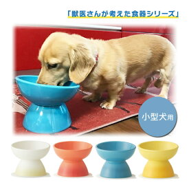 536250-98 小型犬種用陶器製食器 アイボリー オレンジ ミント イエロー スケーター 小型犬用 食器 陶磁器製 ペット餌入れ 幅広 マット付 Skater ペット用品 獣医 大阪府立大学 獣医学専攻