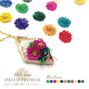 y[։zANZT[ɁyhCt[10@Little mum@-g}-@11Fzyezyԁzyԕفz/t[/a/͂Ȃ/n[oE/X}zP[X/W/l