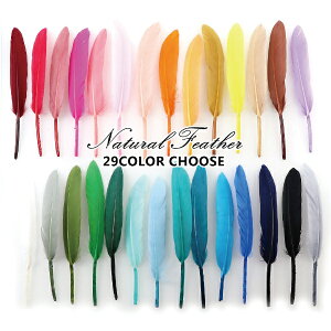 y[։zy񂹁zy100zӂӂVRtFU[ 28F Aq̉H 10`16cm  H H  ECO fRp[c VRf i` e ʃbg Ɩp lbNX s