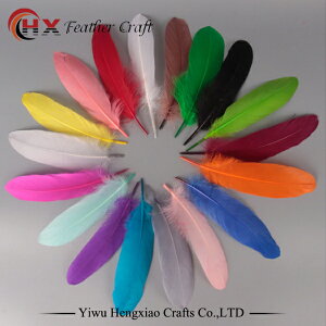 y[։zy񂹁zy100zӂӂVRtFU[ 傫TCY 33F O[X̉H 15`20cm  H H  ECO fRp[c VRf i` lbNX sAX C