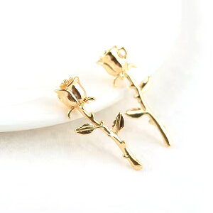 y[։zy1zgQtKÑ`[ K24GPS[h 11mm×25mm KN ΂ o [Y gQ  A  t[  fB[X  wl GKg ANZT[p[cn