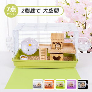 nX^[ P[W 7_Zbg 2K  傫  P[W S[f nEX nVS {g ܂킵 H 񂵎  ʋCQ Eoɂ gȒP ^т₷ IV