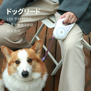  p[h Lk[h LEDCgt [h 莮 [h U q[h L[v  Lт郊[h n[lX ^ ^