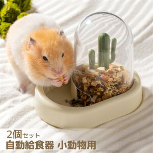 nX^[ H 2Zbg  H a a p pH nlY~ ԑ΍  S[fnX^[ K bg t[h{E a Œ M