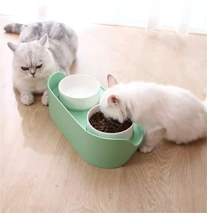 楽天市場】ペット食器 犬 猫 食器台 やさしい高さのある食器台 フード 
