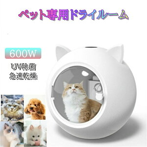 ybgphC[ } É Â I[V[Y nYt[ hC[{bNX  ix |J|JybgphC[ ybg  e ybg{