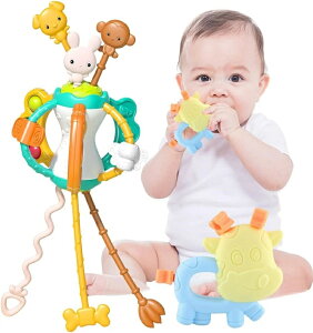 Ђ ł w̒m mߋ: ЂC^NeBuȂ wP wV W FF wg[jO R  炪 g KK ͂ toys 