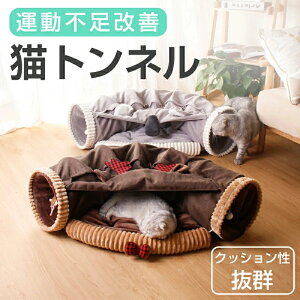 L gl  lRgl xbh nEX  xbh Lxbh  ybg ˂ ˂ ybgxbh ܂肽 Lbggl Aj}^Cv giJC`[t