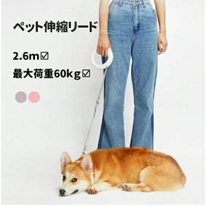  [h Lk[h  2.6m ω׏d50kg LEDCgt ^ ^  ^ zCg p[h hbO[h Lk[h 莮 ^Ή U o