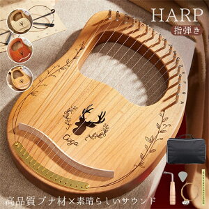 16 19 ؐ ewsAm ^Xg CA[n[v wěy16L[/19L[ GՃn[v ~jCA[n[v C \bhEbh SꉹF Jo |[^u SҌ