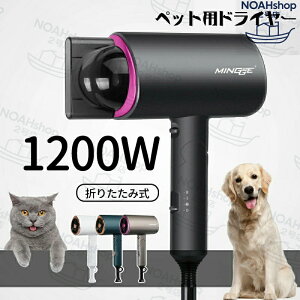 2025Vi̔ 5Nۏ؃ybghC[  L ybgwA[hC[ ybgpi u[ @ 1200w 3iK\ M x\ u[ ᑛ 啗 ܂ ƒp C