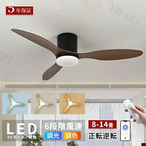 y2025VzV[Ot@Cg led V[Ot@ t@tƖ V[OCg  10 14 F t]@\ APPΉ Ɩ VƖ 3H @ rO Q